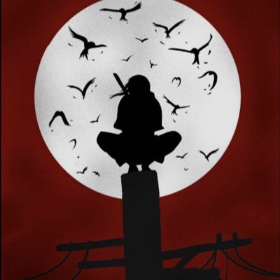 Speakprofitonly's profile picture. 