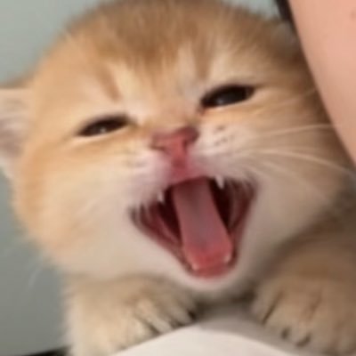 fen_mi12174's profile picture. 