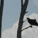 Marilyn Ferrer - @marlyrf - Twitter