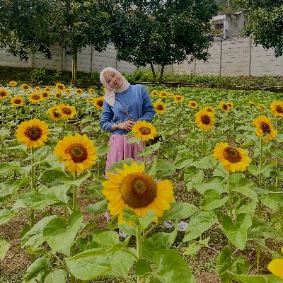 shinsoramera's profile picture. Cafe hopping | Kdrama and Kpop | Marketing and Analytics