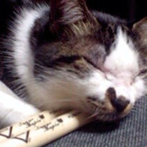 nsmarimba's profile picture. くだらないことしか呟かないからね！絶対だからね！