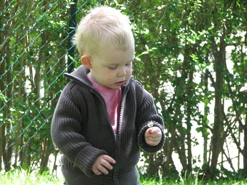 WPhelp's profile picture. Here to help with WordPress, tweet me and I'll help out!!!