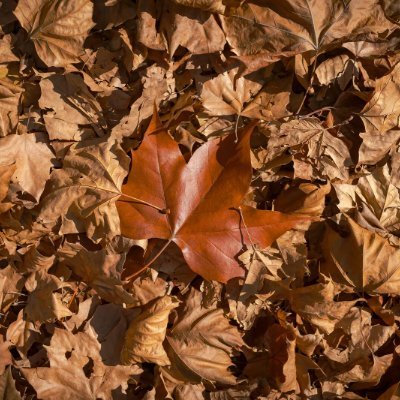 TM1986517's profile picture. 