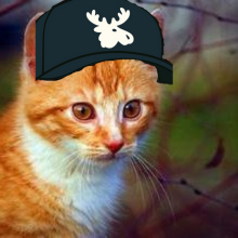 EzazALI410556's profile picture. Building with @DataHaven_xyz