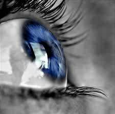 plowdy's profile picture. Je lis, beaucoup, ou du moins autant que mes journées me le permettent. Je tiens 1blog littéraire. #ebook #dystopie #bit-lit et d'autres choses.. Je follow back