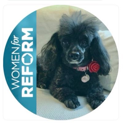 TheBatMags's profile picture. Proud Reform UK Member. Forever mourning our Toy Poodle. Daughter and Wife of London Black Taxi Drivers. Lover of all animals especially dogs