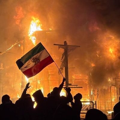 Darya_Diba's profile picture. 