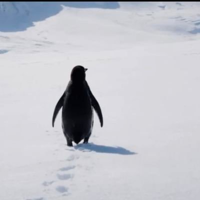 canutescanoe's profile picture. 100% Organic 
💉❌