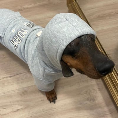 5euros_'s profile picture. i do all my own stunts