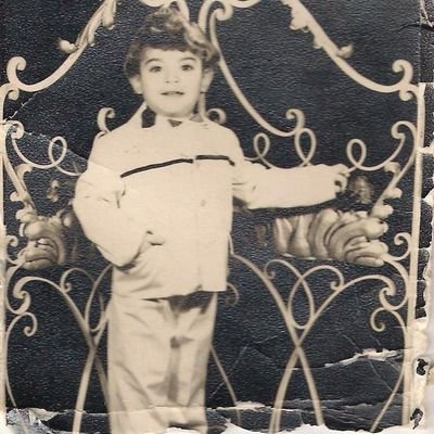 ilReviaggiatore's profile picture. شاركت وأيدت بطريق مباشر وغير مباشر في نكسه يناير وخراب البلد ووصول الاسلامجيه للحكم تبقي حمار شايف ان يناير نكسه ومؤامره وبتؤيد السيسي بعنف تبقي حمار  كبيررررر