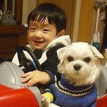 bread_buy's profile picture. 니니무라 나랑살아