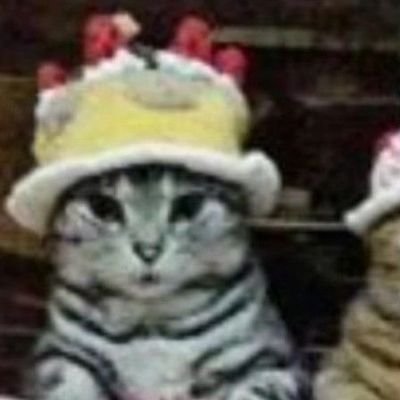 daykuko's profile picture. matching pfp w @fraisiercake | priv: @thekuko_