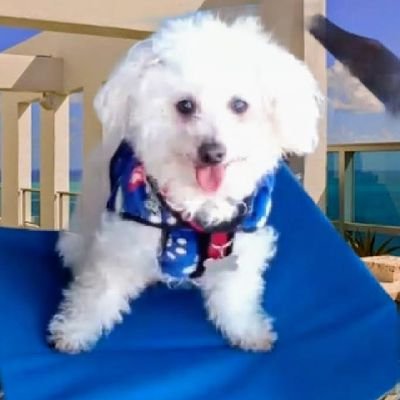 Lunitaamorpuro's profile picture. 