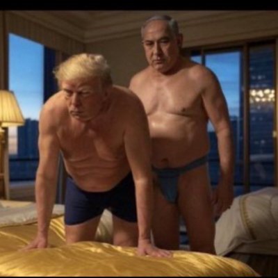 vincen16042281's profile picture. la OTAN y la UE son organizaciones criminales