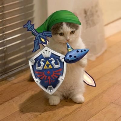 Fanatic catholic