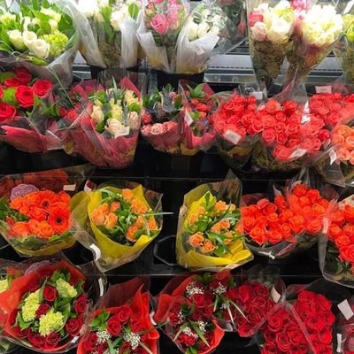 mayaramacarioo's profile picture. Top Girl. Diamonds are Forever. 14x World Champion. ps I hope you feel beautiful today. 🦋