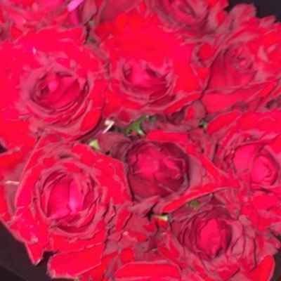 Msobiene's profile picture. IG: @ebinabo YouTube: @ms.ebinabo Snapchat: ebinabo