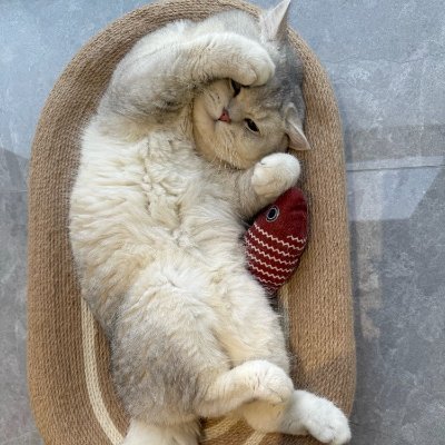 bubo_chk_a's profile picture. 🌄 風景写真愛好者 📸 自然の美しさを写真で切り取るのが大好き。毎日の中で感じた小さな風景や心に響く瞬間をシェアしています。
❌(副業お断り、投資です)❌