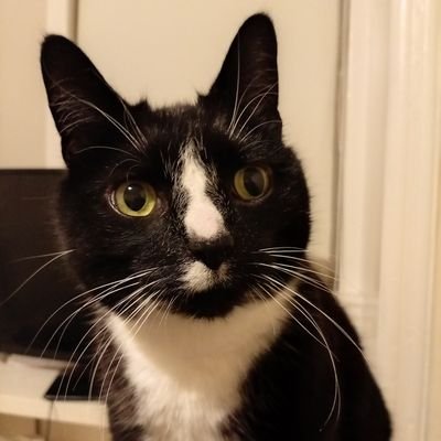 ShawlandsLim's profile picture. I only use this to catch up on the news now and then. You all talk some amount of utter fucking shite.