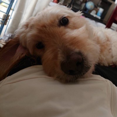 TAR00000069's profile picture. 趣味:家出