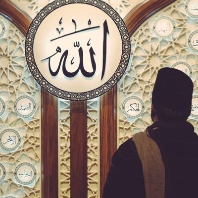 SajeelGhouri's profile picture. Passionate Peace Promoter
 ~love for all hatred for none~