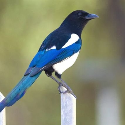 dietistarealist's profile picture. https://t.co/PM9nulohyd