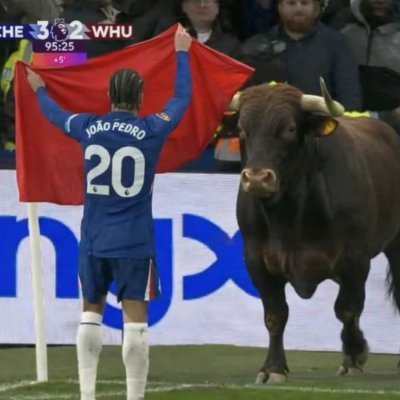 ChelseaLaughs's profile picture. 