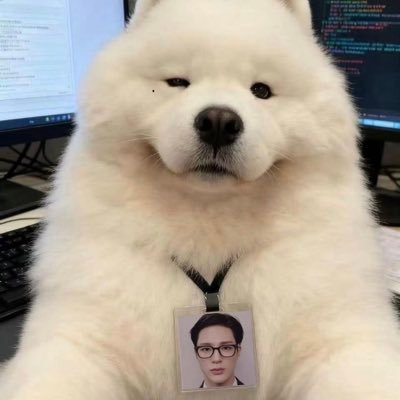 maybesleepi's profile picture. 