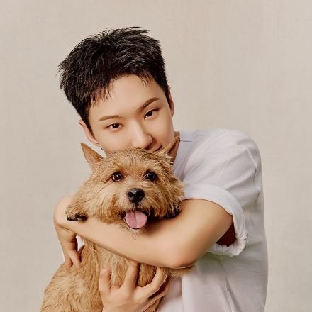 delph1neee's profile picture. ఇ ◝‿◜ ఇ   || until the last say the name💎                        12th Company, 5th Platoon, 14th Squad Platoon Leader Trainee No. 133 Kwon Soonyoung