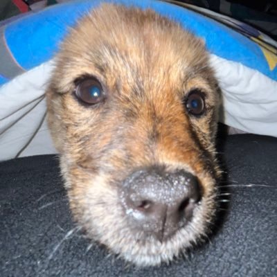 Kimbeomchel's profile picture. 밀양출신 25년생 소심이 김범철