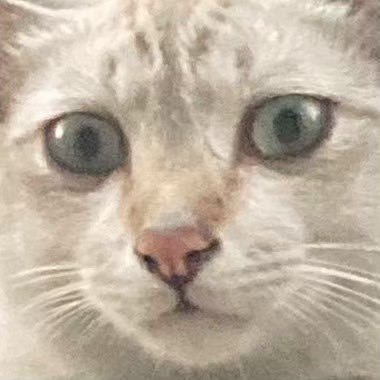 jluvfs_'s profile picture. 