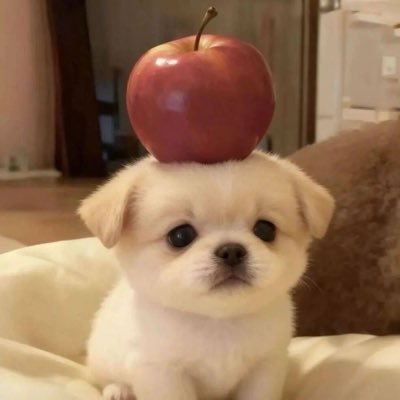 galvani's profile picture. 只想跟有感觉的人聊天，不然给我发信息我都懒得搭理的那种，自己报一下年龄和位置！