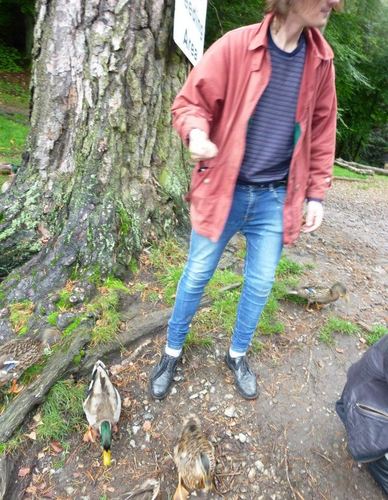 alfiestrong's profile picture. 