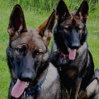 JdeJ555's profile picture. Engineer , Europe, Singapore, Thailand, Australia, Saudi, Lybia, Iran, Venezuela, Dubai, South Africa 16 countries. 
Fairness. Honesty. Freedom.  No Dm's...