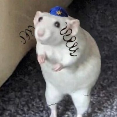 RabbiJeffx's profile picture. ʙᴀᴄᴋᴜᴘ ᴊᴇꜰꜰ ᴀᴄᴄ ✦✦✦