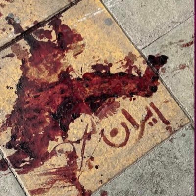 shahin_ya_saleh's profile picture. 