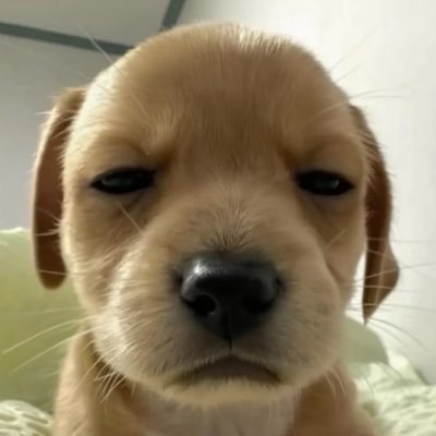 hohohohaha0's profile picture. https://t.co/phqZdqKTEw