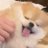 tanutanu0615's profile image