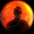 Shervinfx1's profile image
