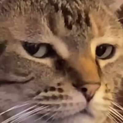 hgeecko's profile picture. Com diploma de sofrer de outra universidade
Autista e TDAH
Nb