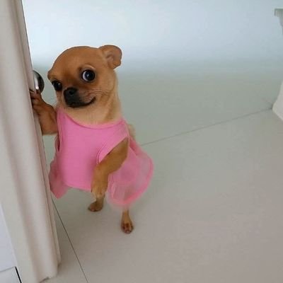 BigAnselem's profile picture. 