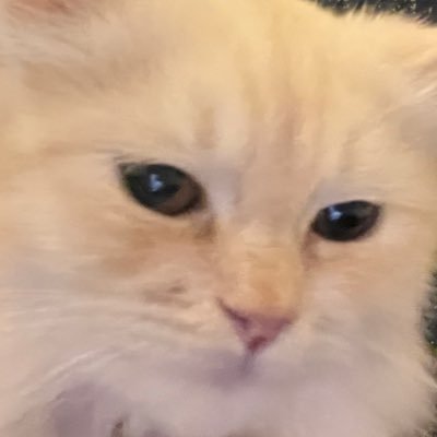 lizardet777's profile picture. your heart belongs to me pianist♡astrologer♡humanitarian