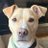 fradam_beario's profile image