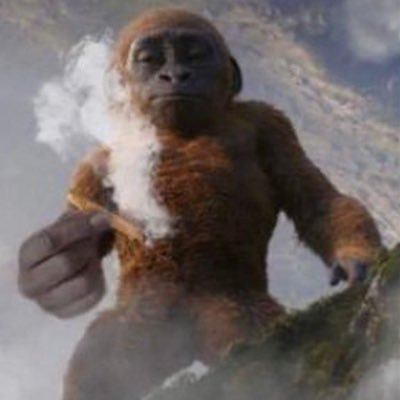 THELIFEOFYAYA's profile picture. 🦍Mr.Mervil, ER, O 27 🔱 🌴⚖️RAP IG: EmperorOfTheLand//TheGangaConnoisseur //Bossyluxx// FullSailMusicBusiness18'🎓