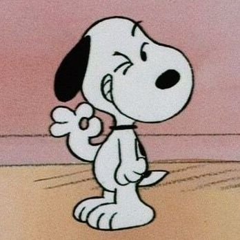 Y ᕮ ᕮ Z ᑌ S 🚂