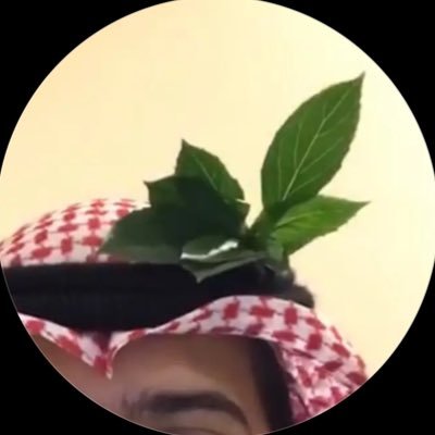 plrrrs's profile picture. رجُل