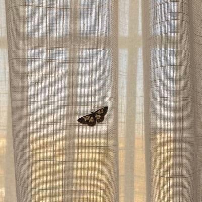 seedra0022's profile picture. 𝑴𝒂𝒚𝒃𝒆 𝒊𝒏 𝒂𝒏𝒐𝒕𝒉𝒆𝒓 𝒍𝒊𝒇𝒆