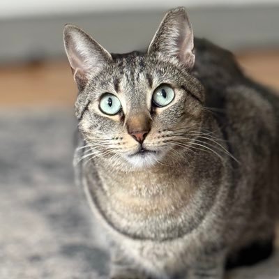 jbnyc12's profile picture. Positive reinforcement