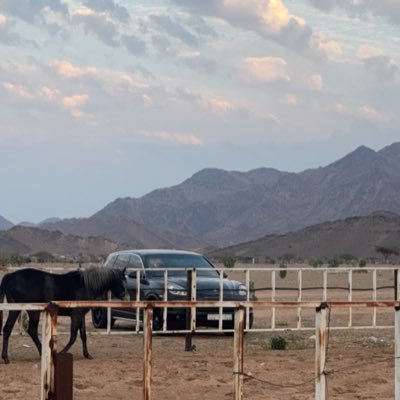 ighost180's profile picture. انا اتحادي من يوم ميلادي 💛💛💛