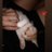 S53710121's profile image